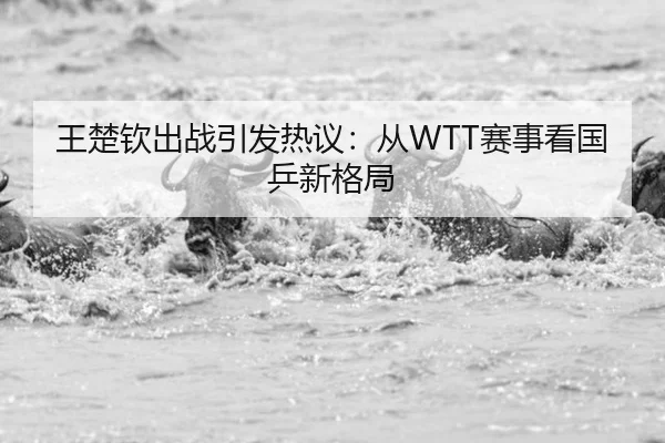 王楚钦出战引发热议：从WTT赛事看国乒新格局
